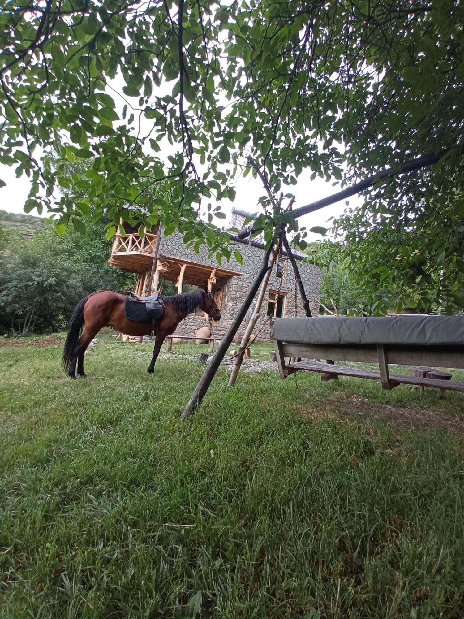 Hors'S Home Luaran gambar